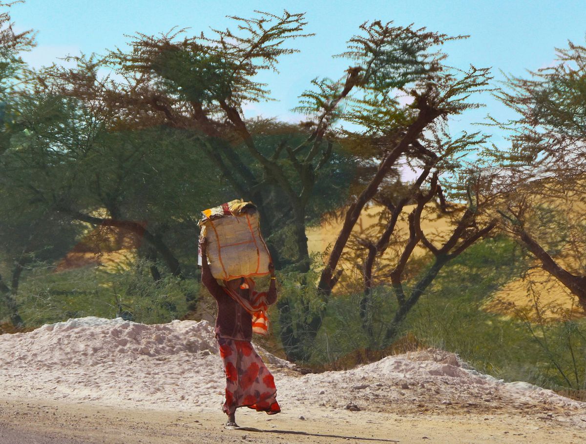 Thar Desert woman