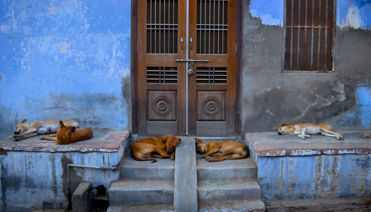 The morning after....jpg