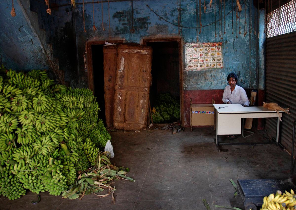 Banana merchant and his cat