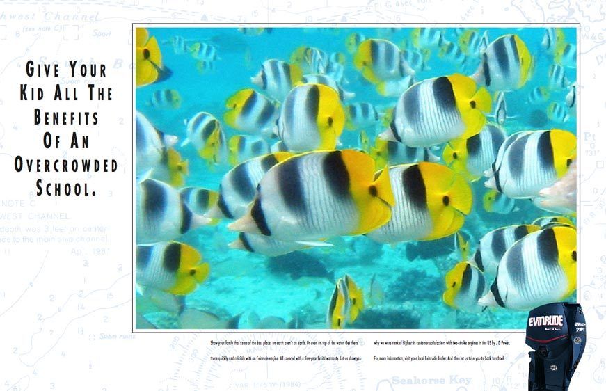 Evenrude Outboard Motors2