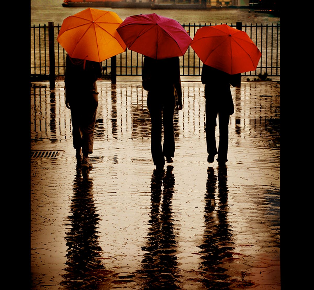 Les Parapluies de Brooklyn II