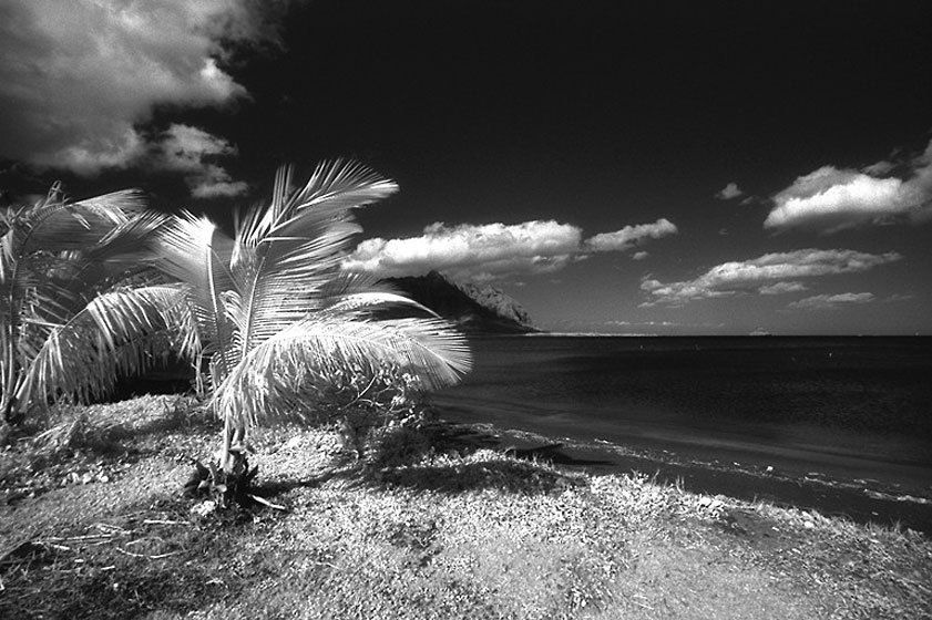 1hawaiir