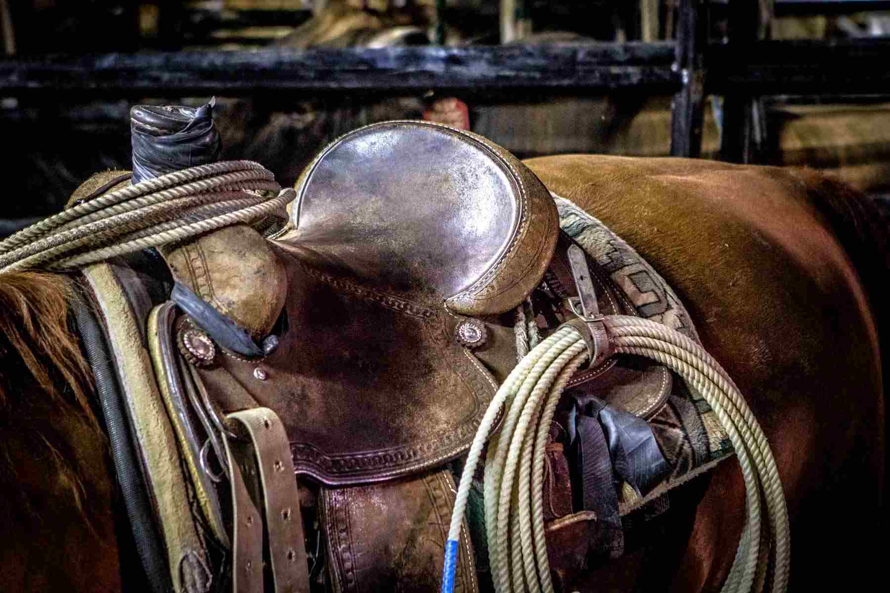 advertising and commercial photography Dallas