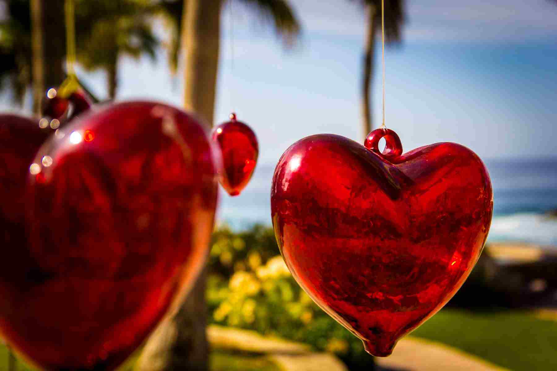 blown_glass_heart_on_tree_at_esperanza_resort