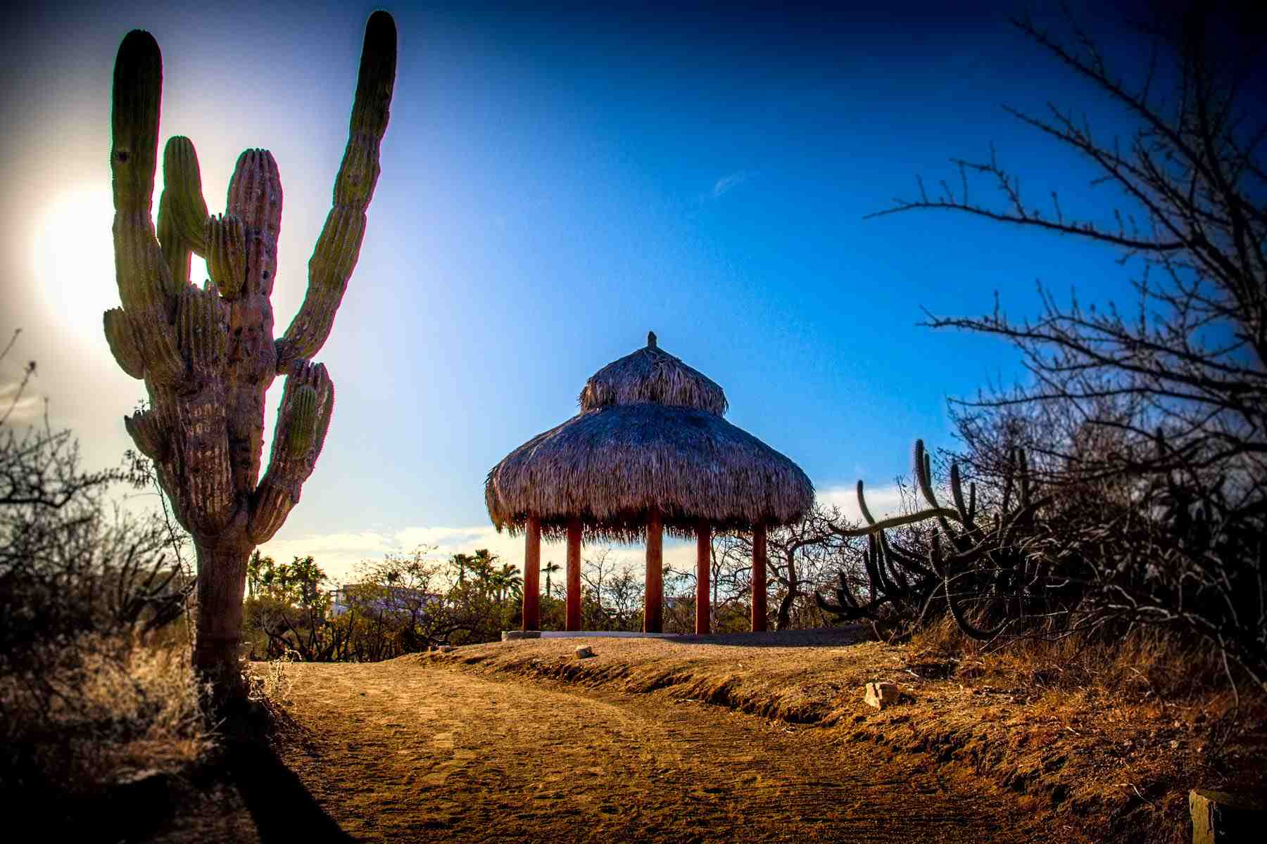 cabo_isolated_tropical_thatch_roof_hut travel photography
