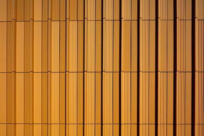 CSV Cancer Center 67.jpg