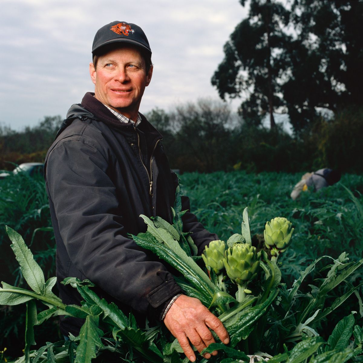 David Lea.Cabrillo Farms. Family Farming since 1920. Brussel Sprouts, Pumpkins and Peas.