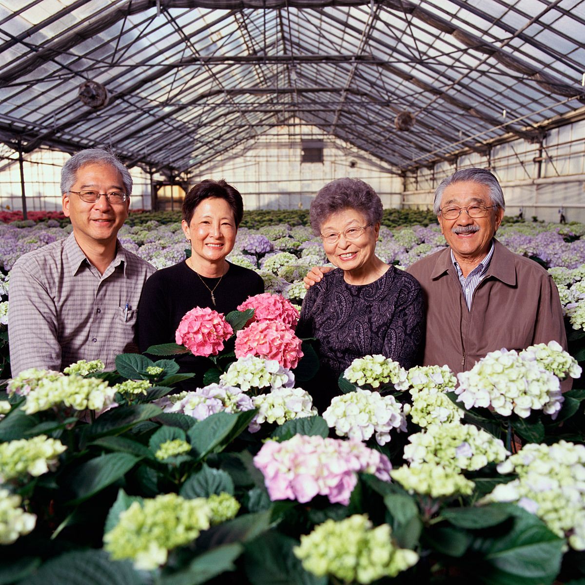 Higaki Family. Half Moon Bay, CA.Family farming since 1960. Cut Flowers, plants.