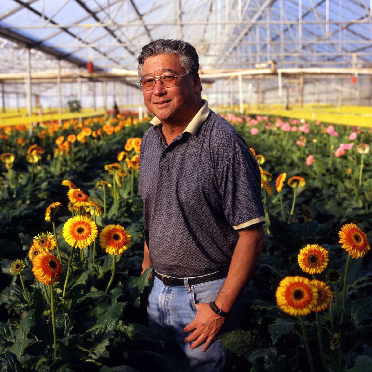 Steve Oku.Oku Nursery, Pescadero. Cut flowers.