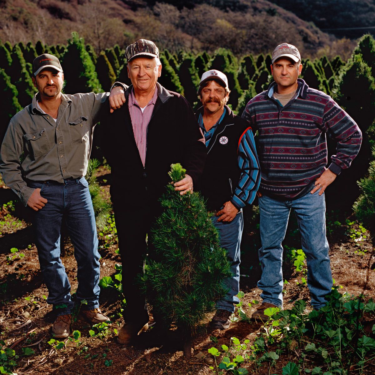 Jimmy, Eddie, Jim and John Cozzolino.Family Farming since 1949. Christmas Trees and Hay.