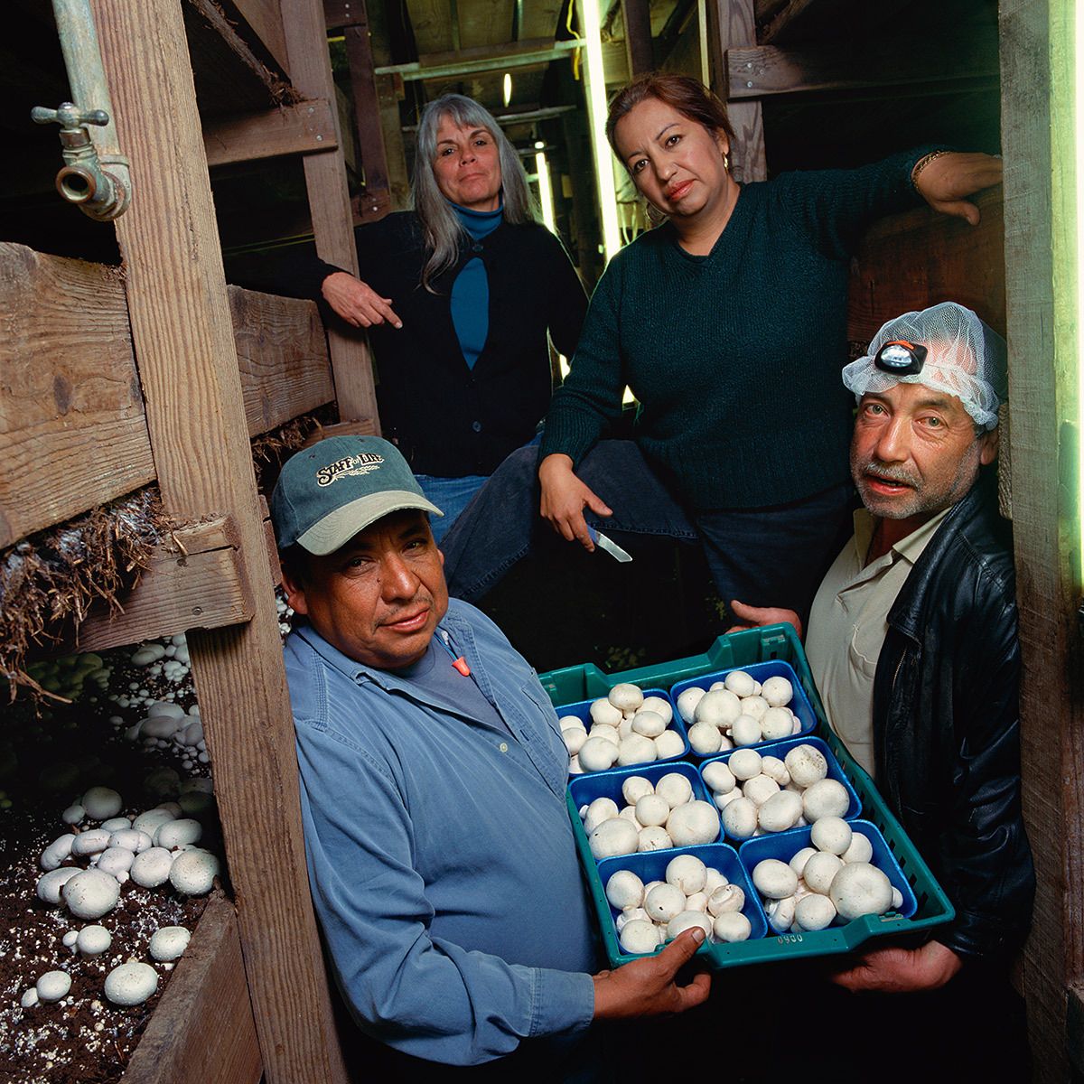 Raul Guzman, Linda Tichenor, Teresa Godoy, Luis Godoy.Pacific Coast Mushrooms. Worker purchased business since 2005