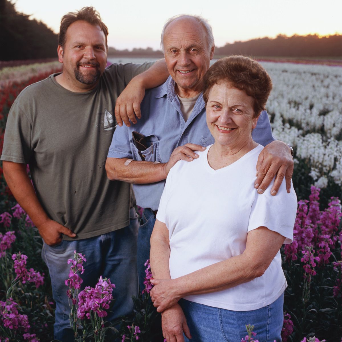 Dave, Don and Carolyn Garibaldi.Ano Nuevo Flower Farm, Pescadero. Family Farming since 1901. Flowers.