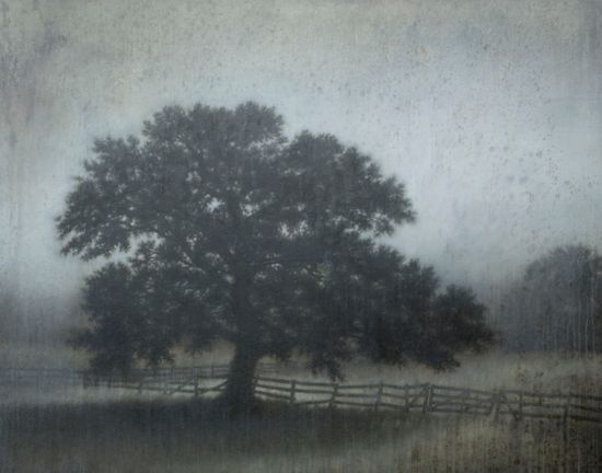 Michael Dines_Landscape_2019_10_127.jpeg