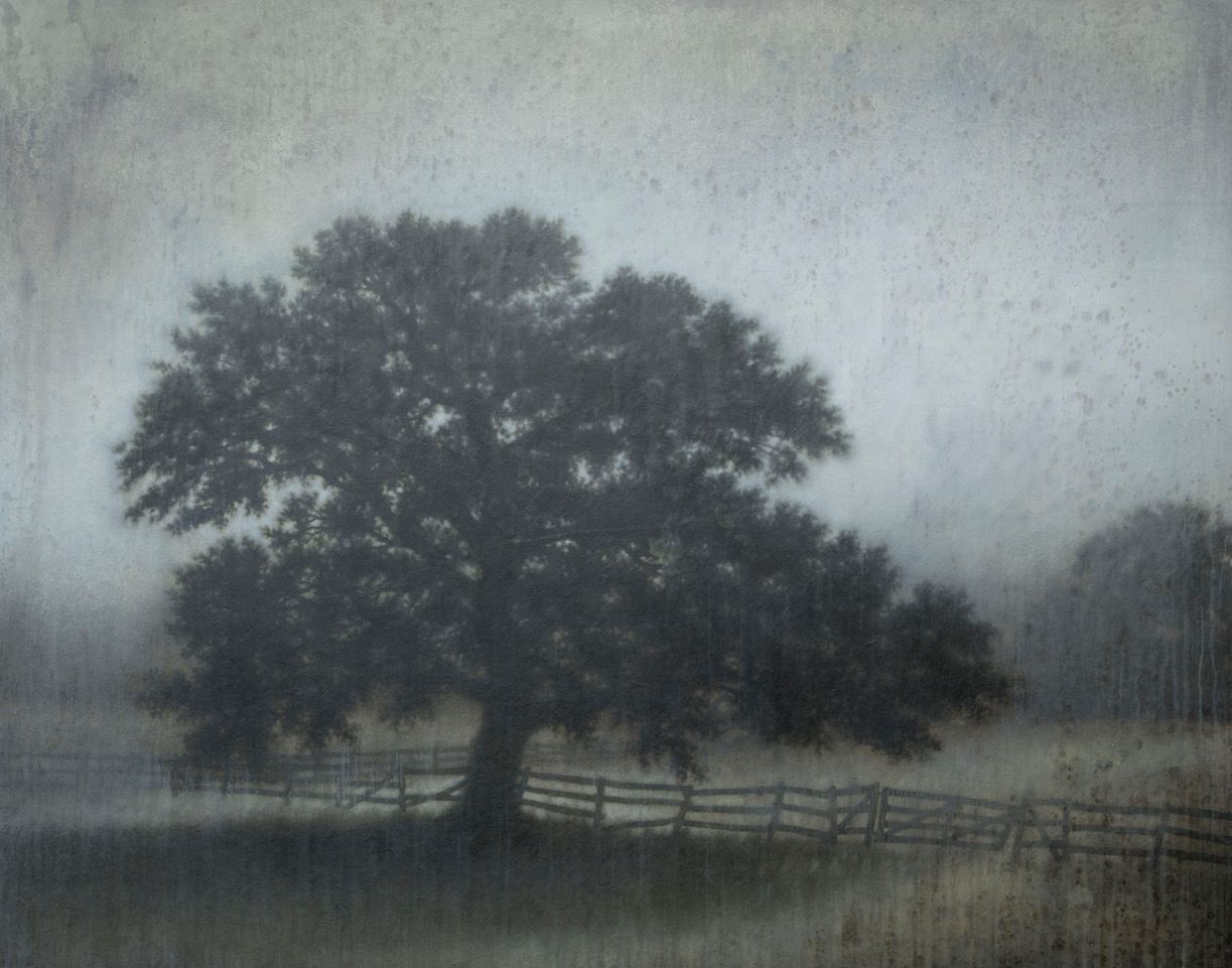 Michael Dines_Landscape_2019_10_127.jpeg