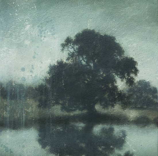 southern live oak by the pond