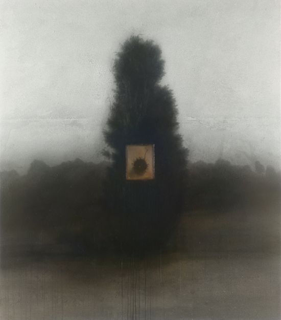 Liquidamber Styraciflua on Juniperus Virginiana