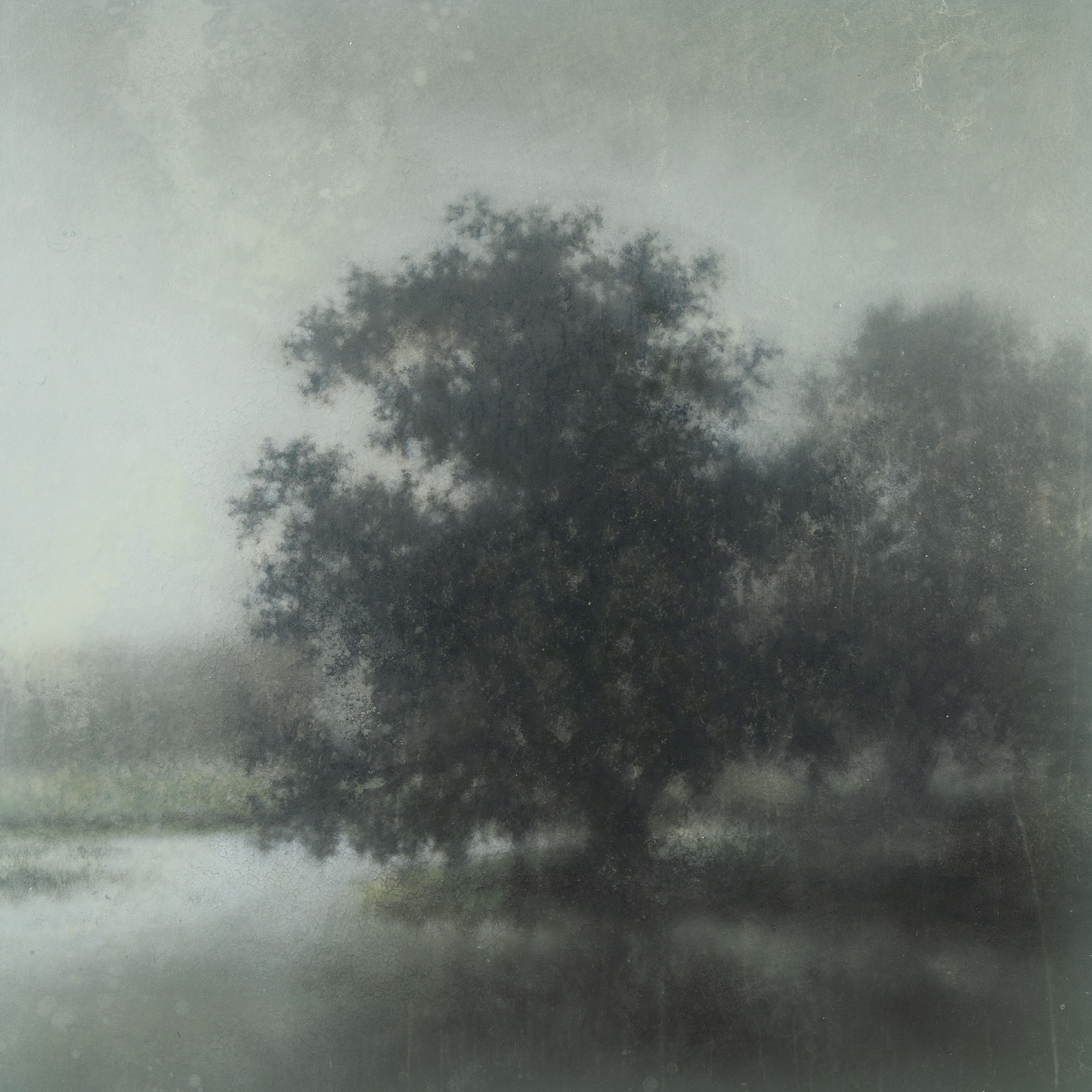 Mixed Media on Canvas, 48"h x 48"w The Bend on Turkey Creek, 2026