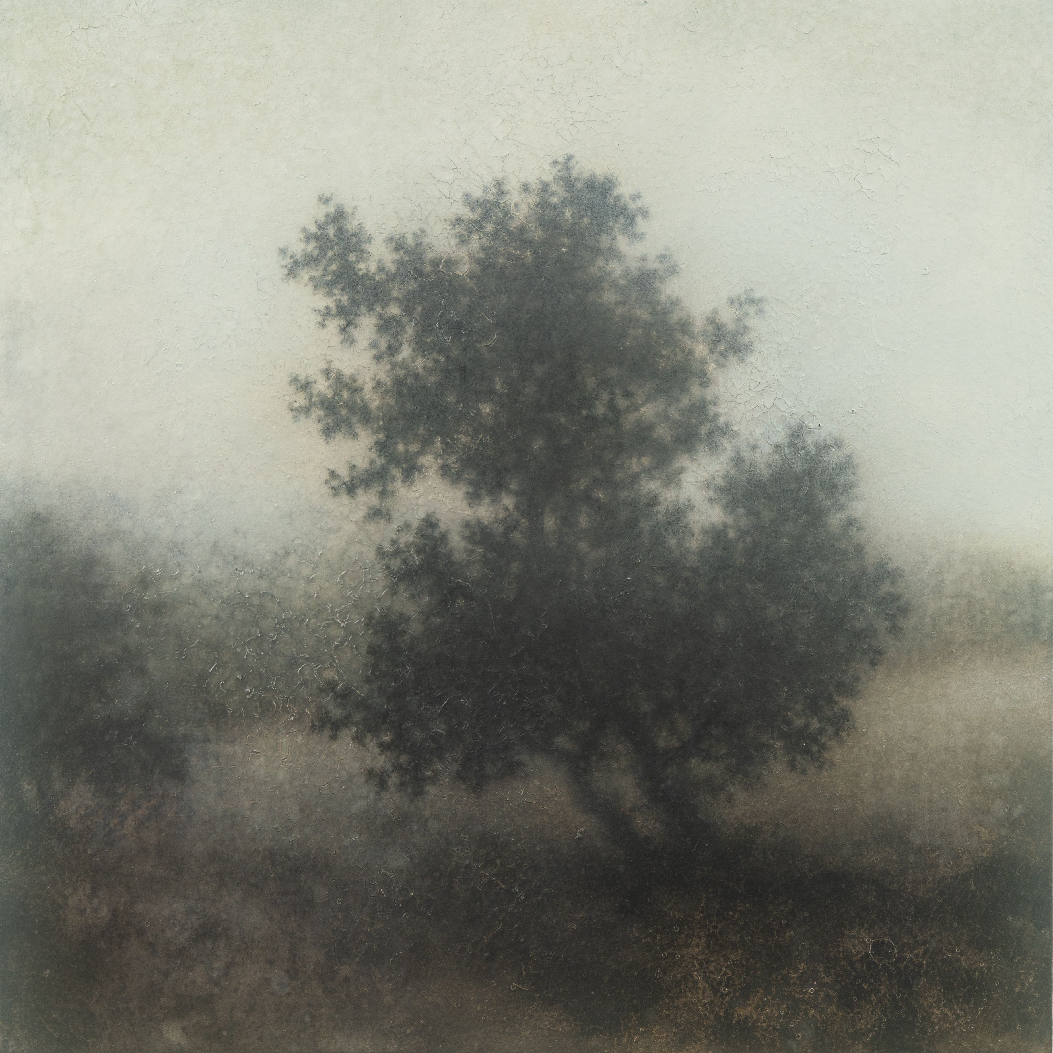 Mixed Media on Canvas, 36"h x 36"w Apple Tre at Sam's Creek, 2026