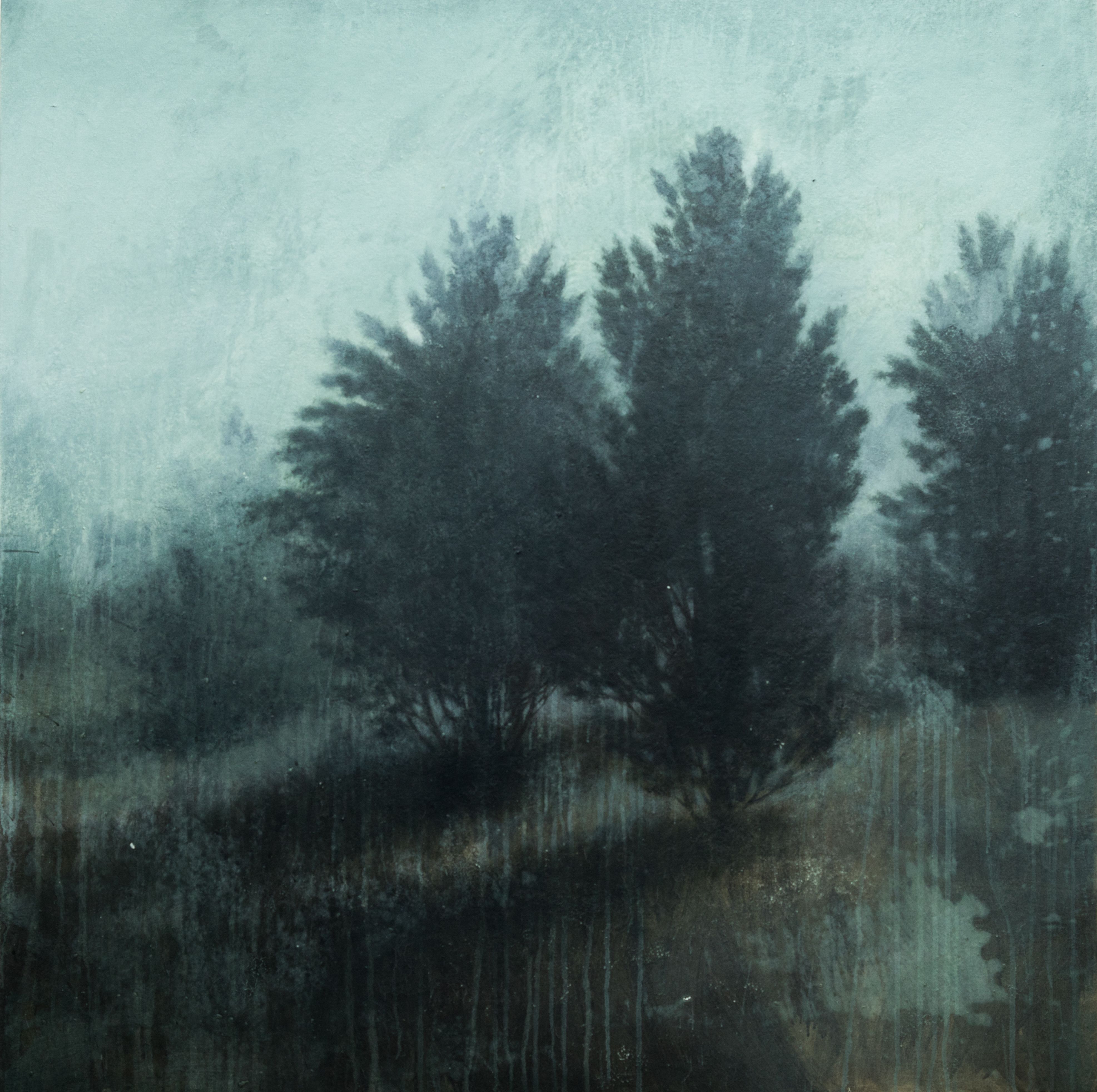 2017-06_MichaelDines_ART_Landscape_115.jpg