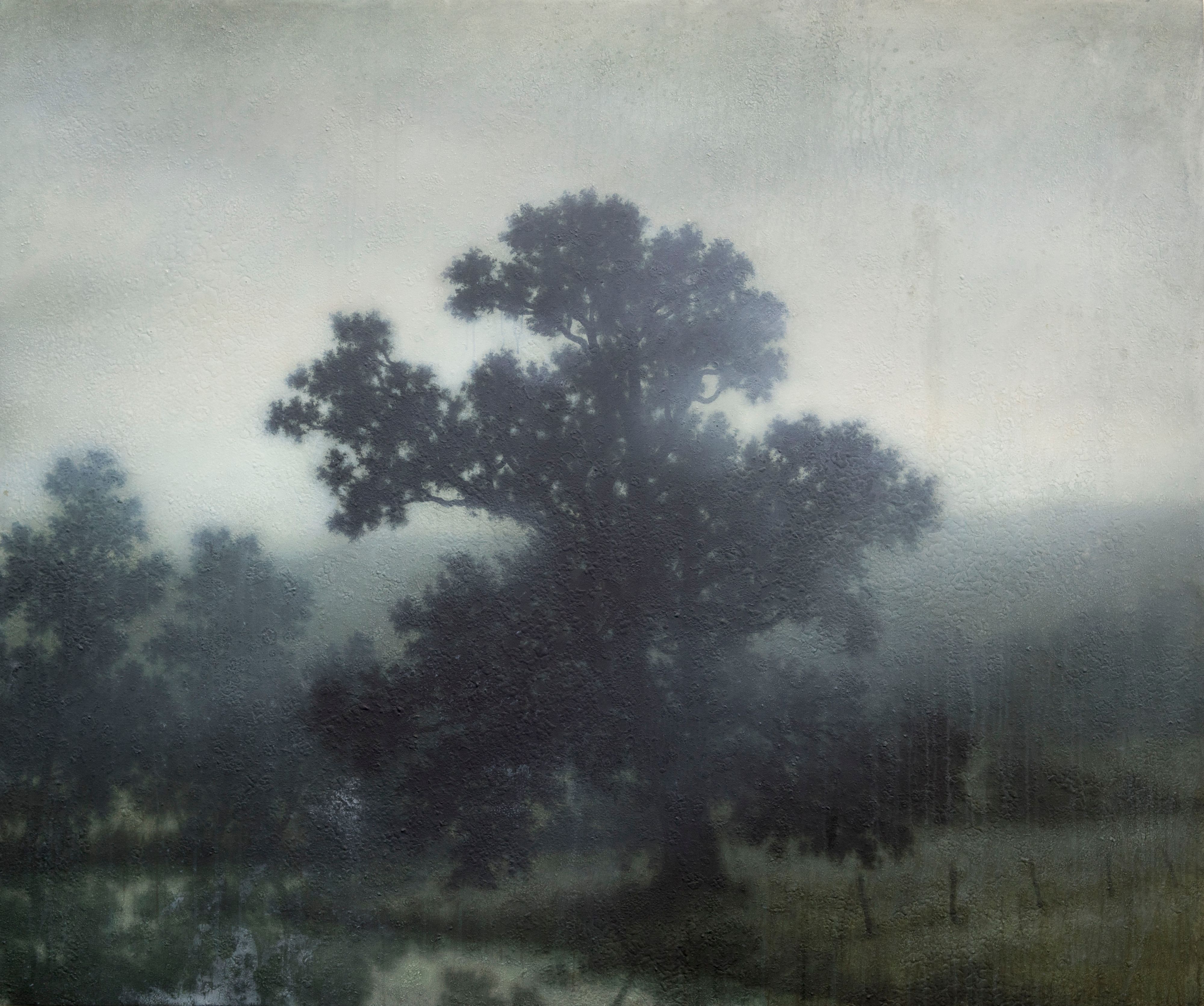 MICHAEL DINES_Landscape_2019_06_041.jpg