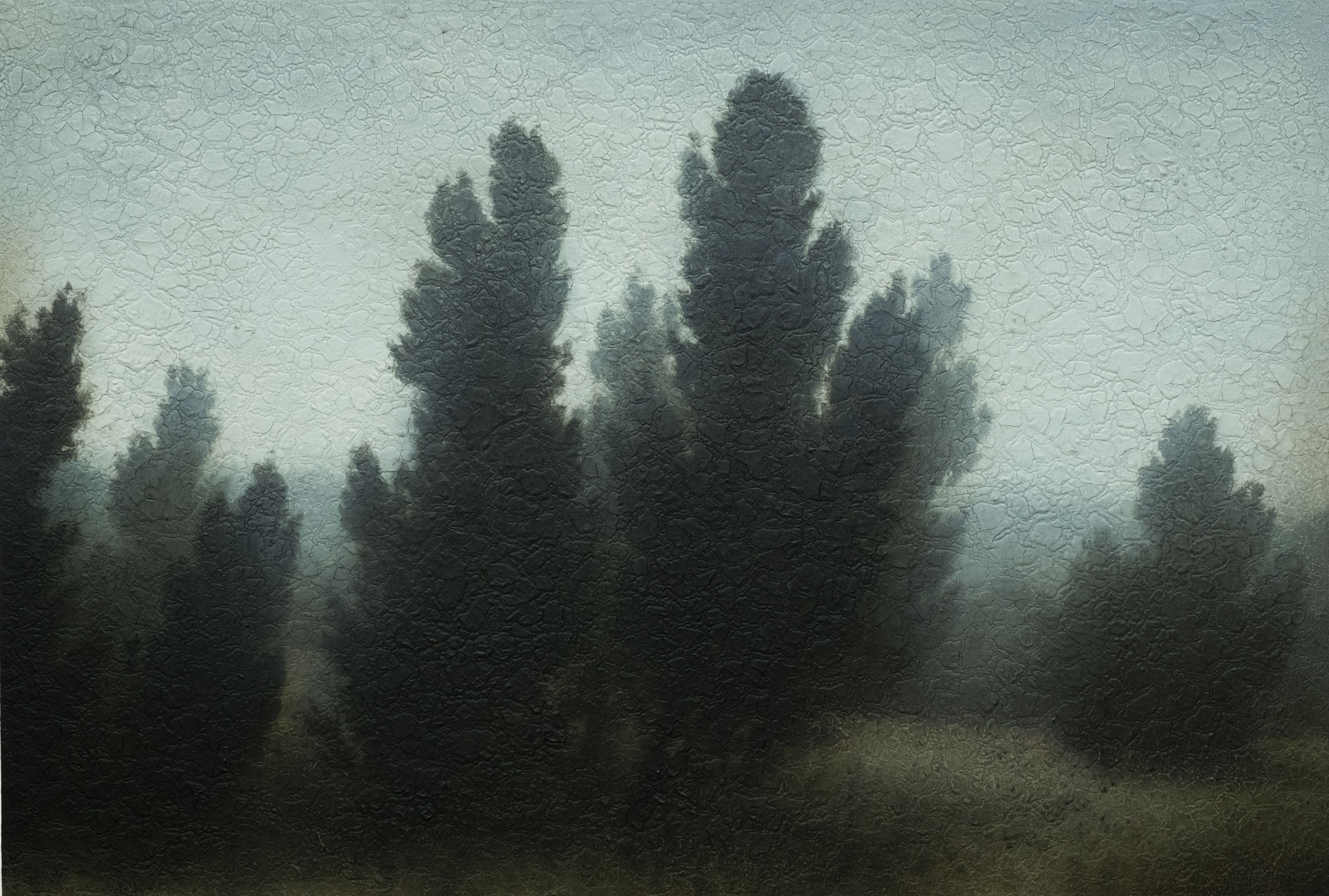 2014-06_MichaelDines_ART_Landscape_079.jpg