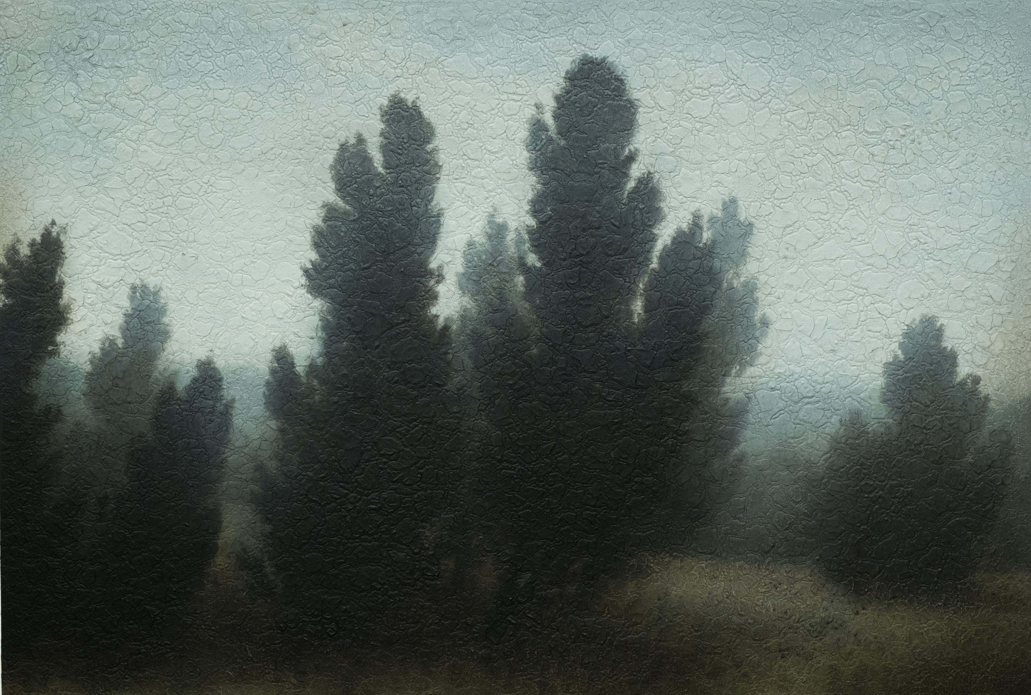 2014-06_MichaelDines_ART_Landscape_079.jpg