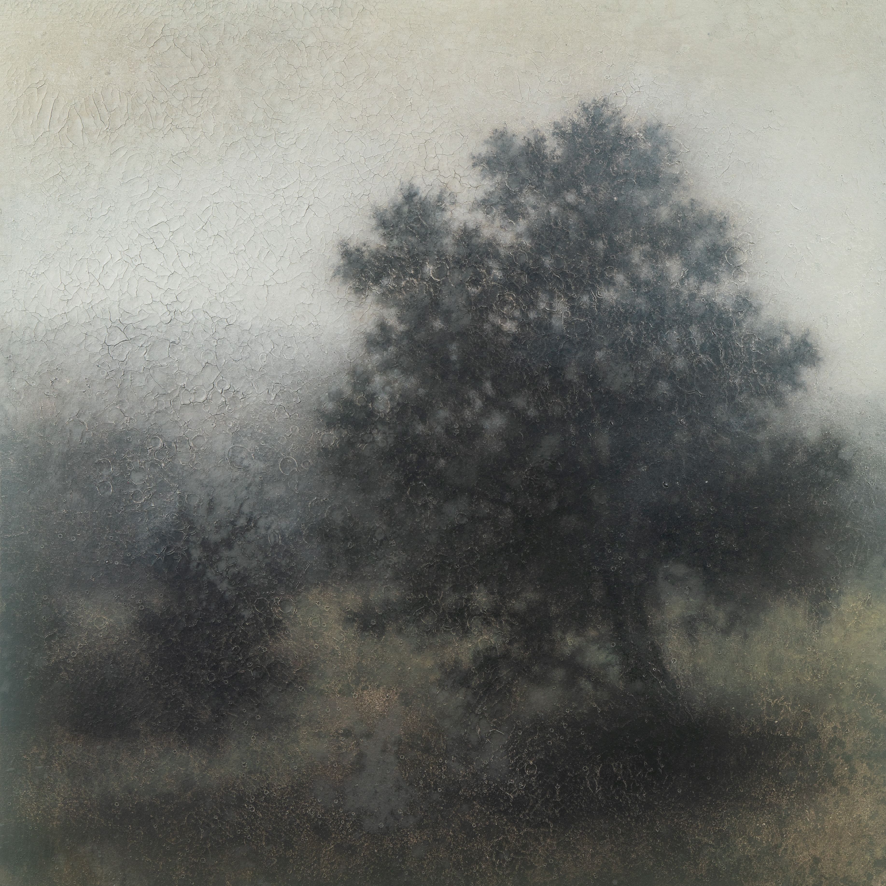 Mixed Media on Canvas, 36"h x 36"w White Oak at Minner Farm, 2026