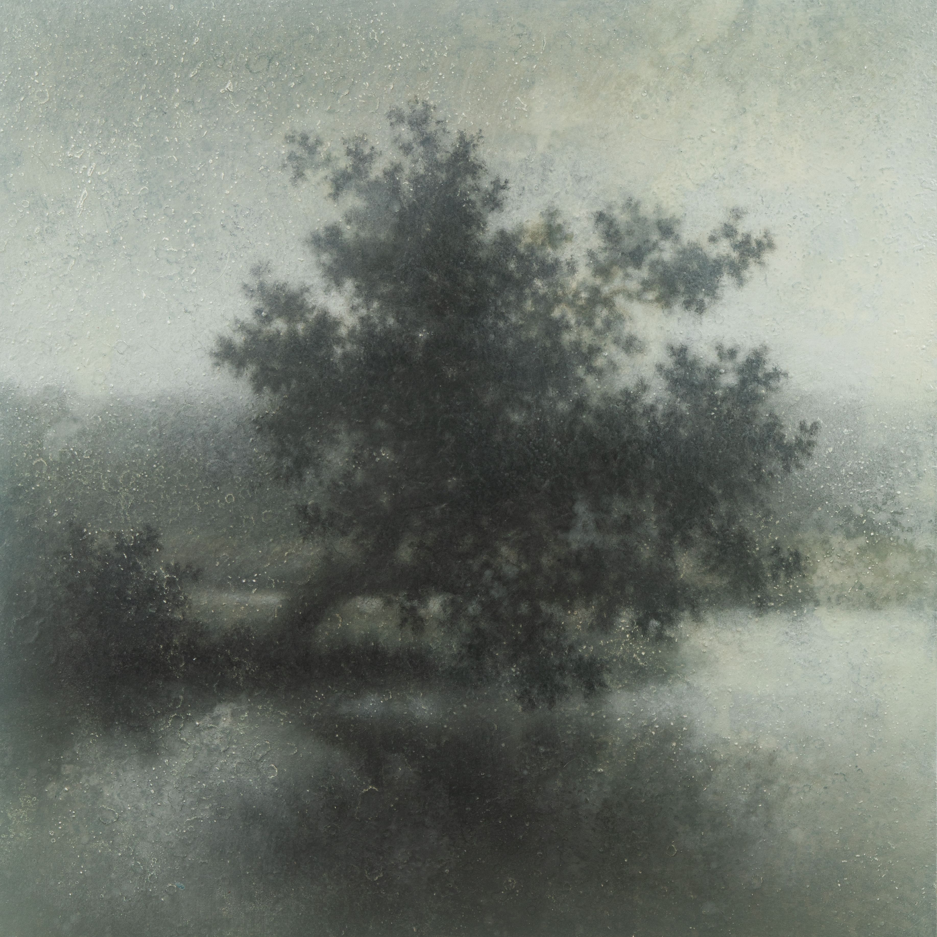 Mixed Media on Canvas, 36"h x 36"w Live Oak at Clarks Bluff, 2026