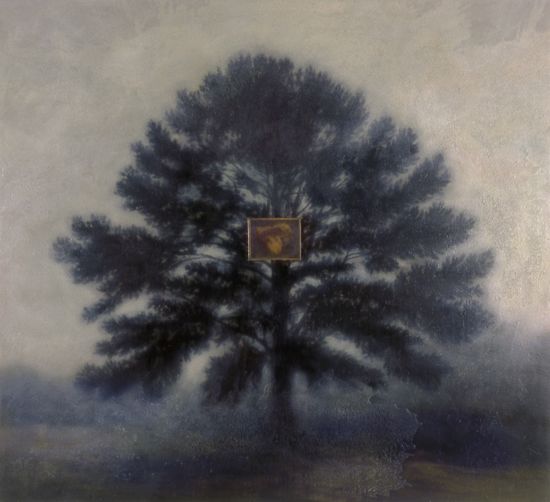 Castanea on Pinus Taeda