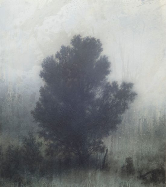 MICHAEL DINES_Landscape_2019_06_055.jpg