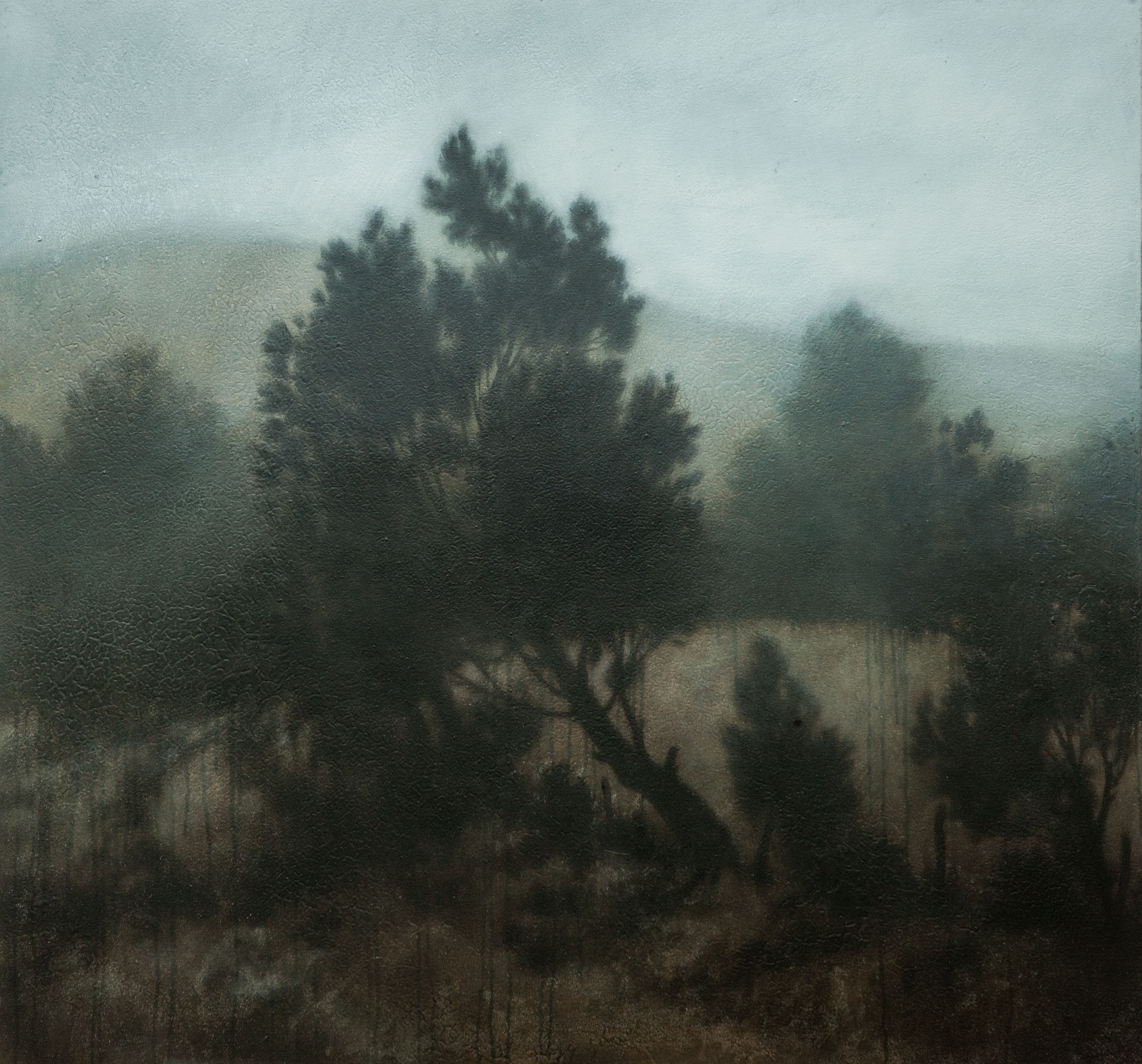 2011-04_MichaelDines_ART_Landscape_025.jpg