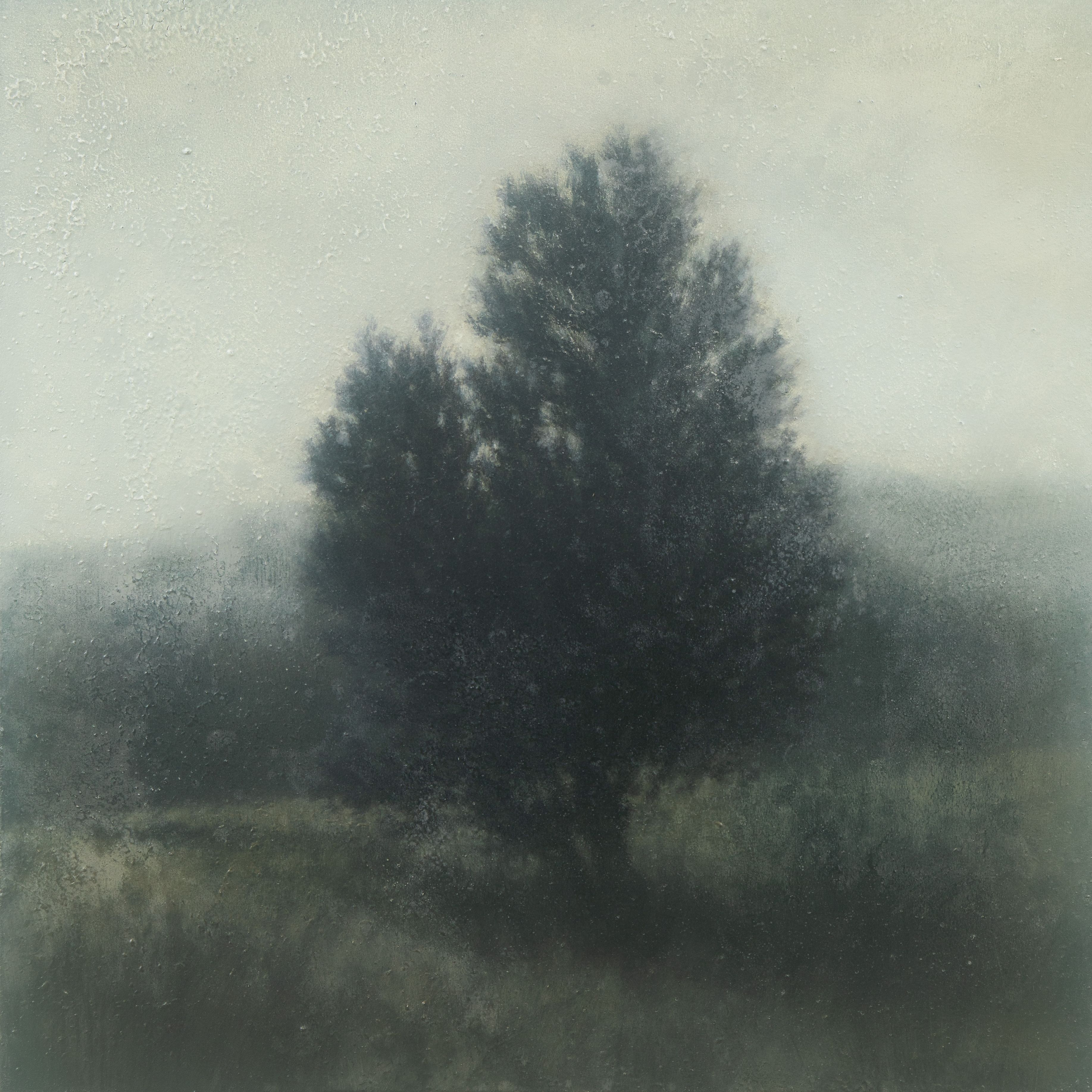 Mixed Media on Canvas, 36"h x 36"w Lone Cedar at Big Otter, 2026