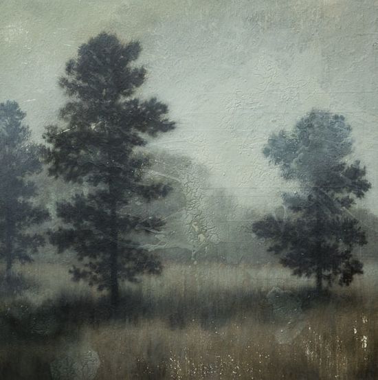 long leaf in morning haze