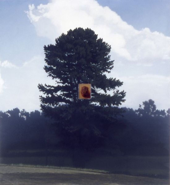 2011-02 MichaelDines_Landscape_017.jpg