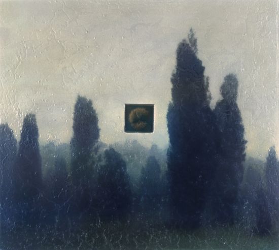 Castanea on Juniperus