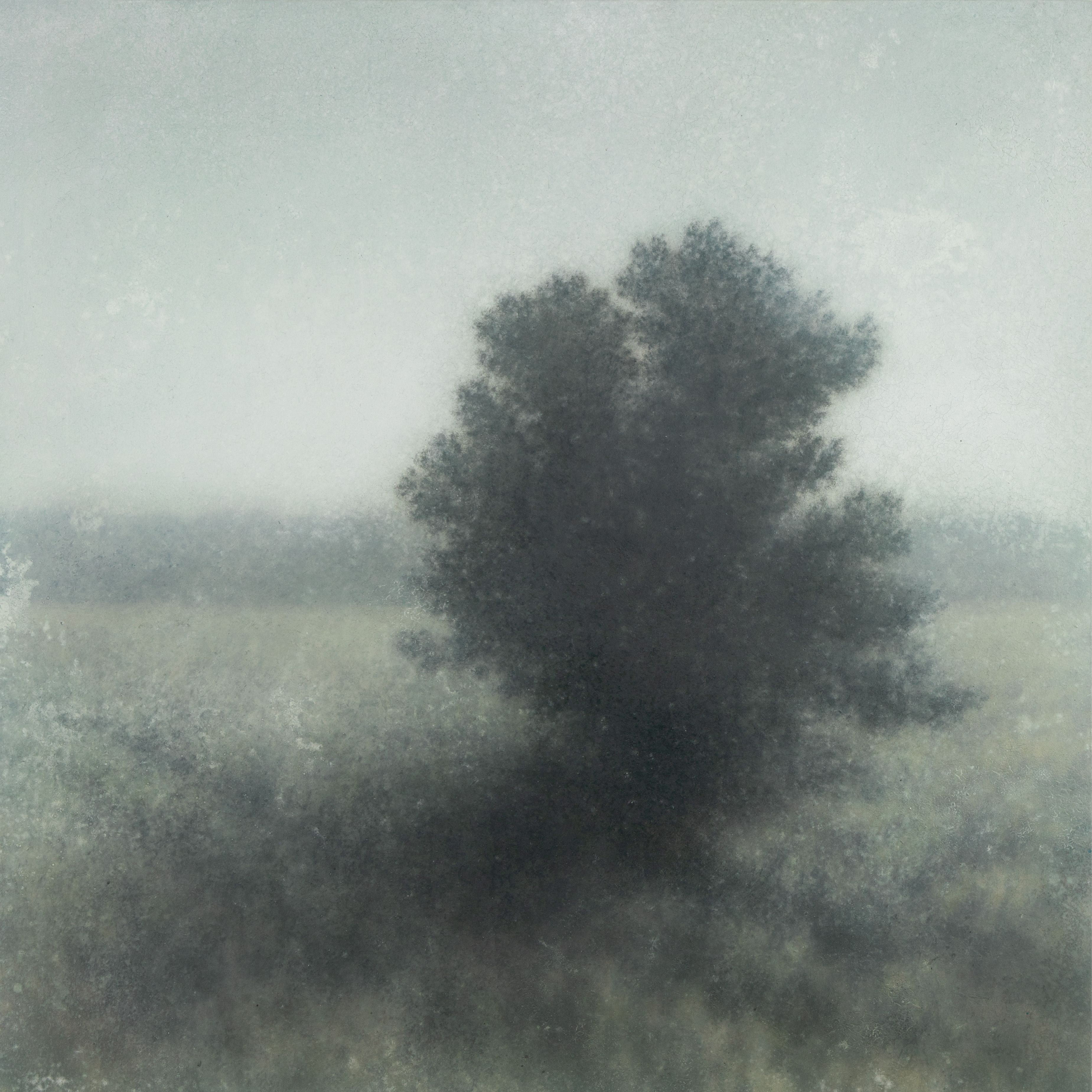 Mixed Media on Canvas, 60"h x 60"w Cedar at Briery Glen, 2026