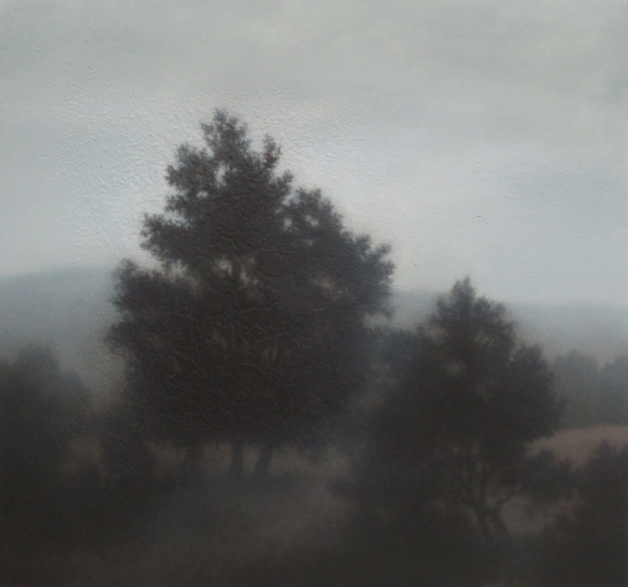 MD12_110811_MichaelDines_Landscape_1.JPG