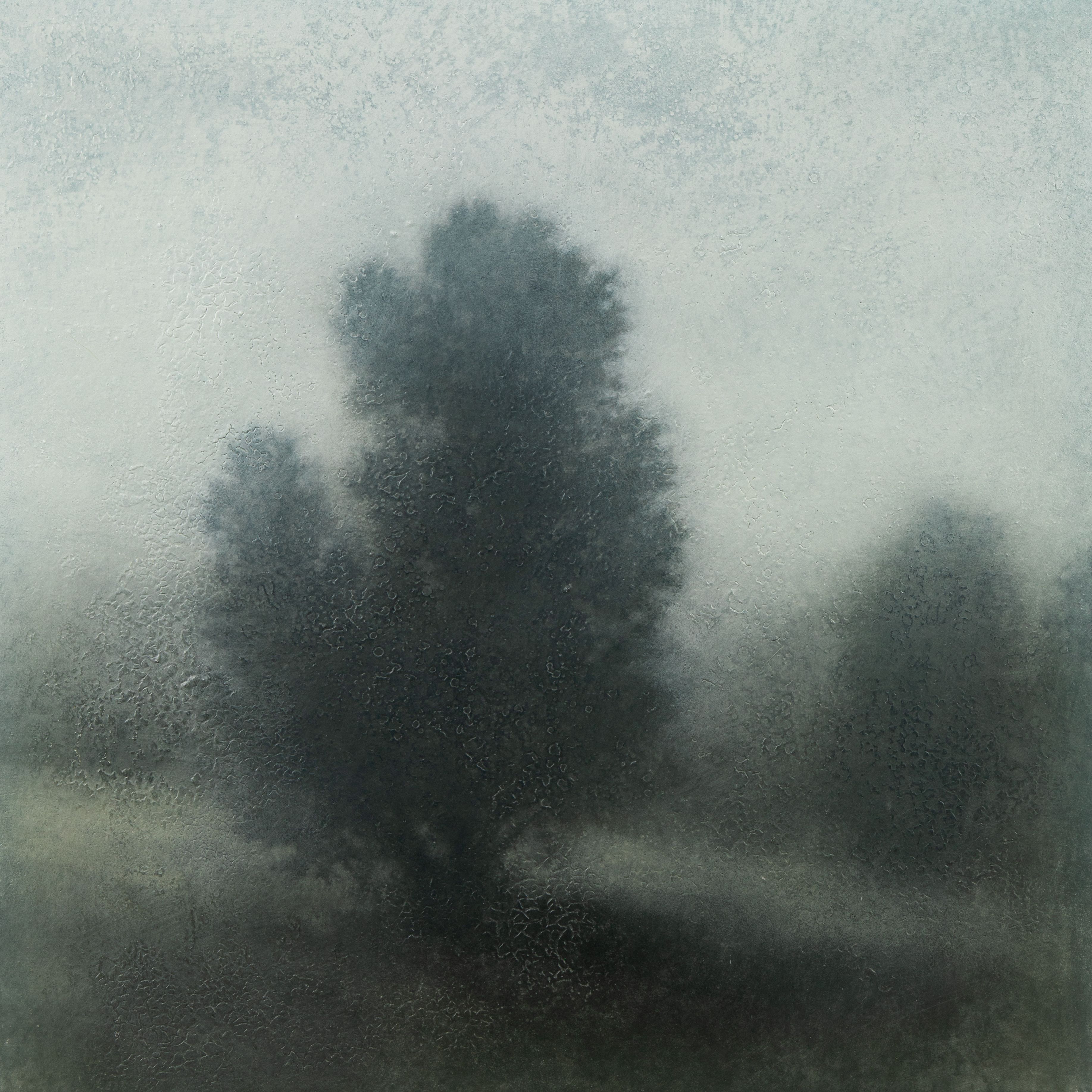 Mixed Media on Canvas, 36"h x 36"w The Mount Crest Cedar, 2026
