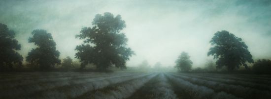 1r2014_02_michaeldines_art_lavenderfield_073