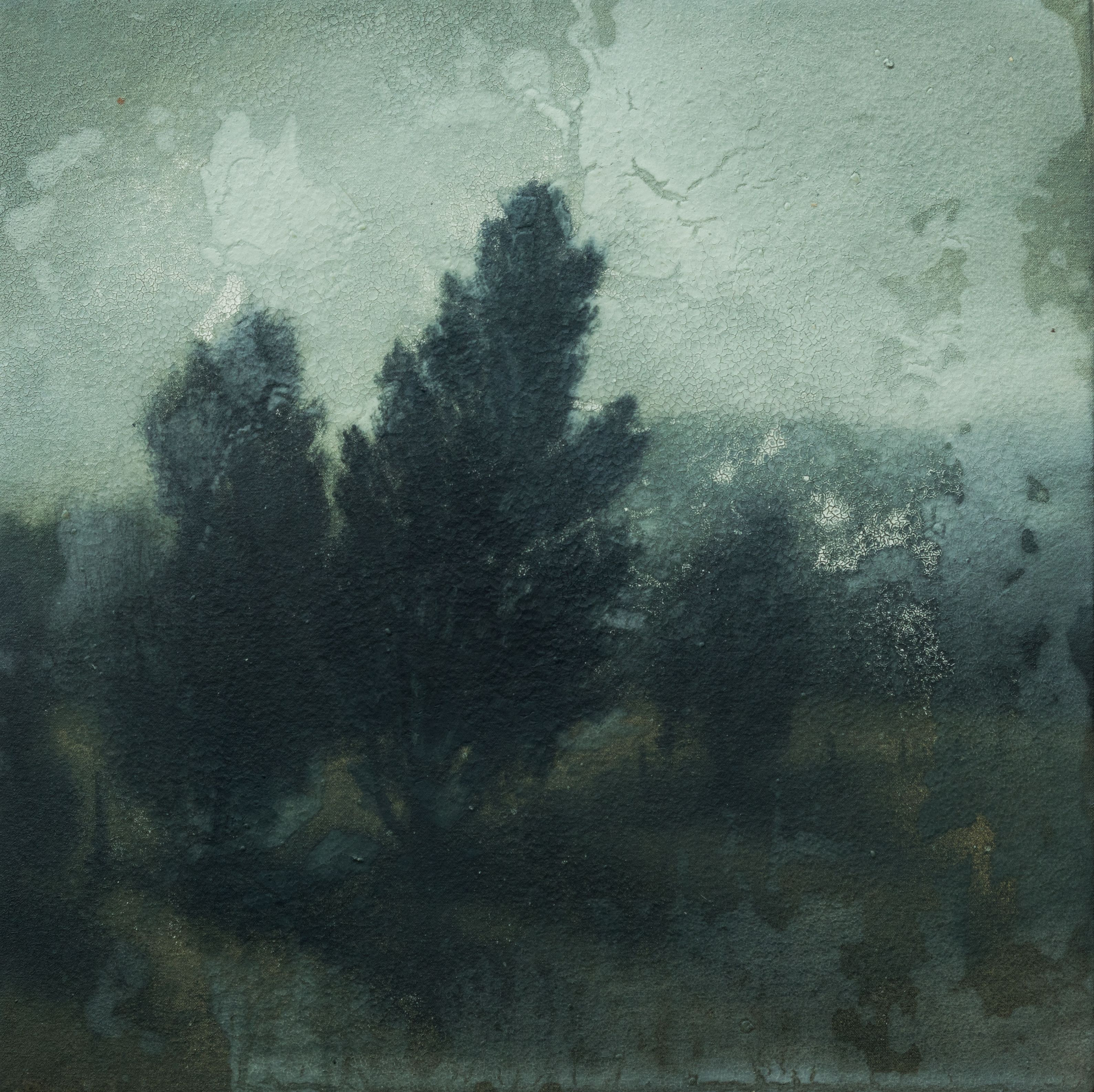 2017-07_MichaelDines_ART_Landscape_137.jpg