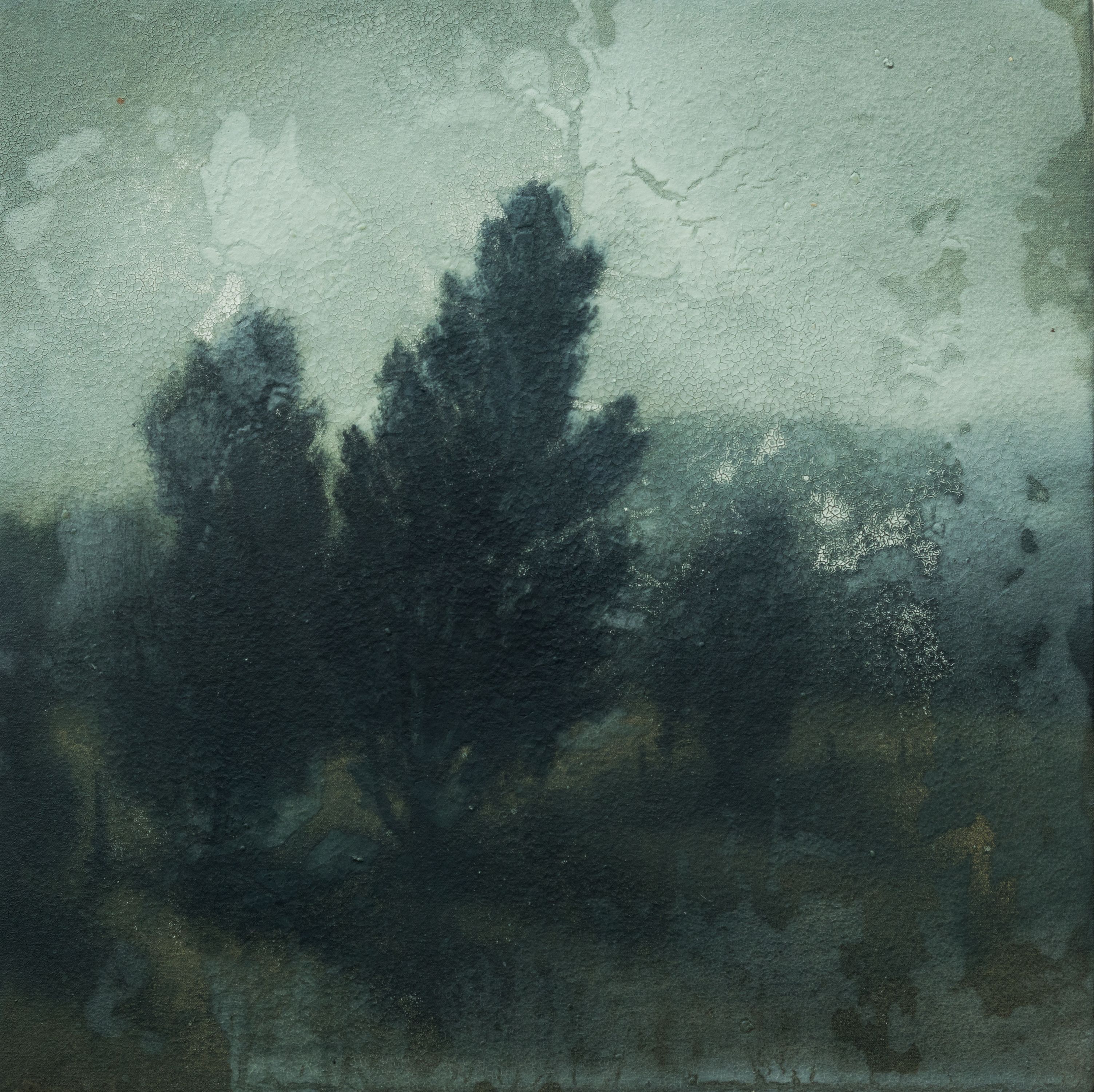 2017-07_MichaelDines_ART_Landscape_137.jpg
