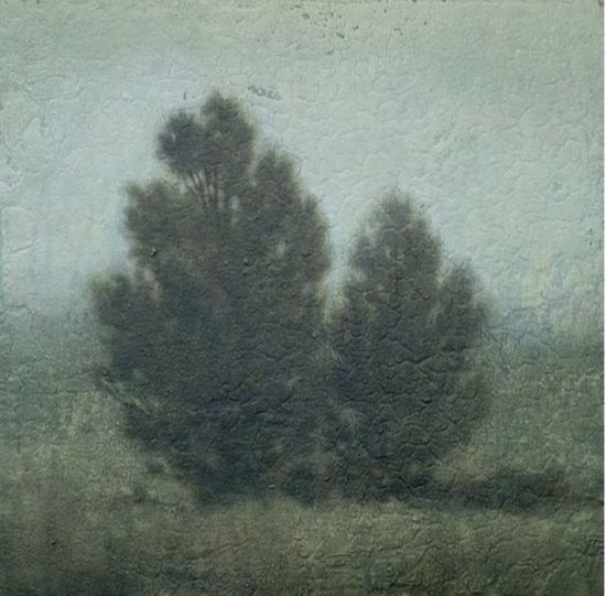 Flatwoods Cedars 2019-06-104.jpeg