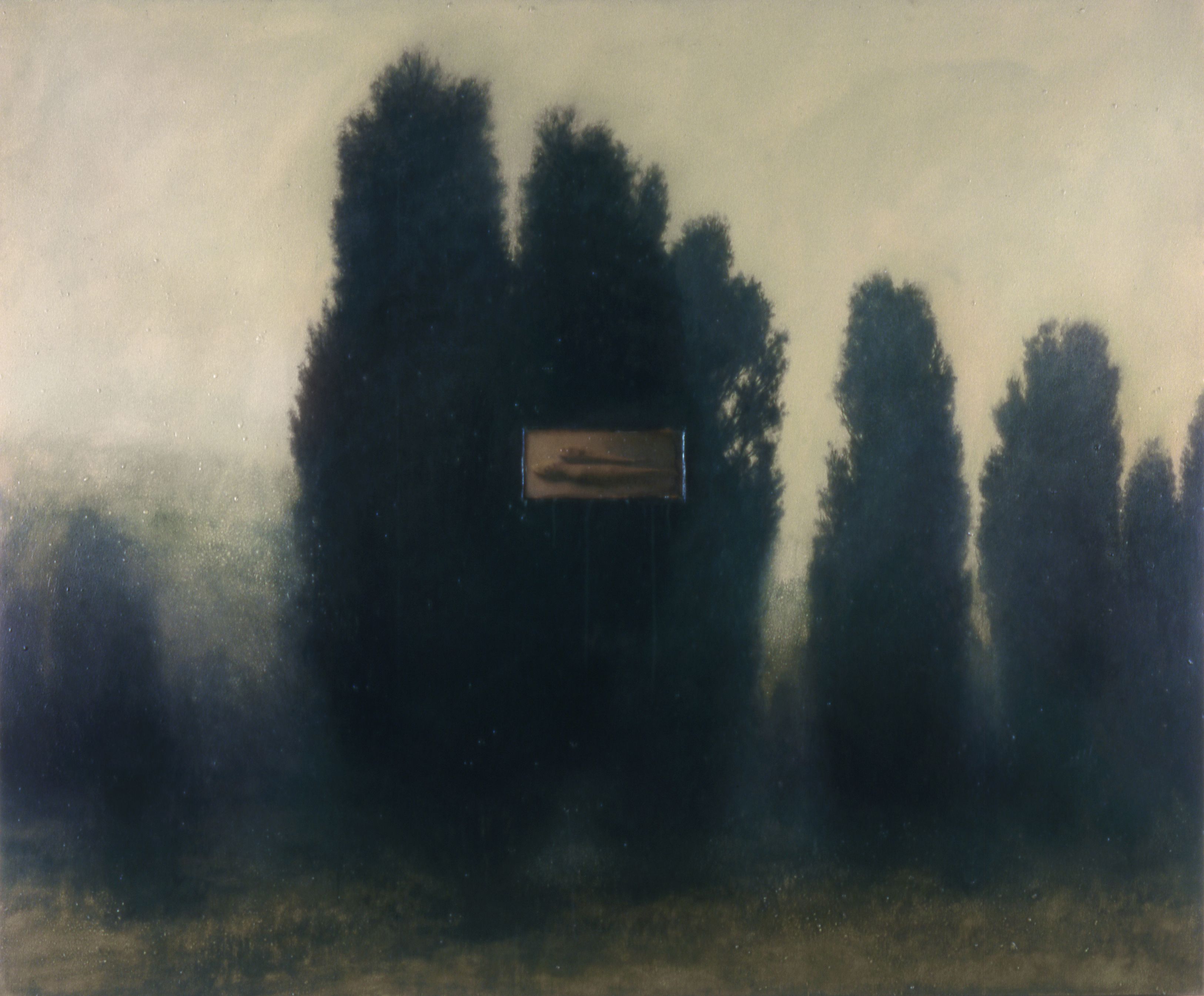 MD5_980101_MichaelDines_Landscape_06  .jpg