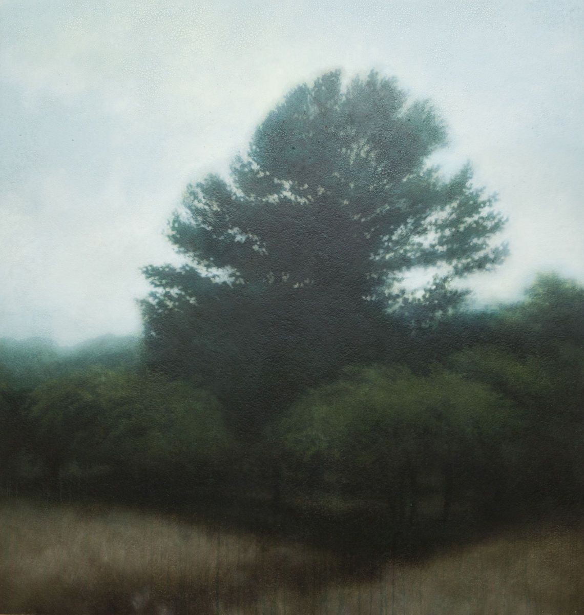 1r2013_03_michaeldines_art_landscape_039