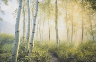 Photograpahy on rice paper. Aspen Morning