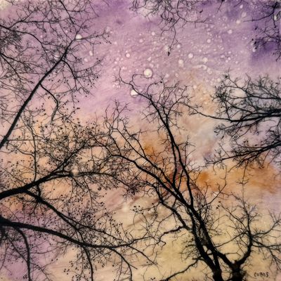 Touch The Sky