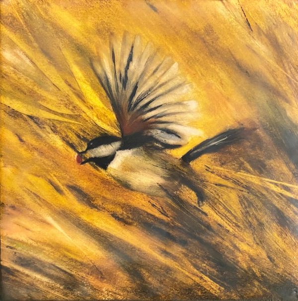 8x8 Encaustic mixed media. Available framed 125.00 ( black or natural maple floater frame) or unframed 100. Shipping not included. Chickadee Lift Off
