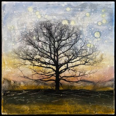 SOLD. ( Biltmore) Plant Trees Not Bombs