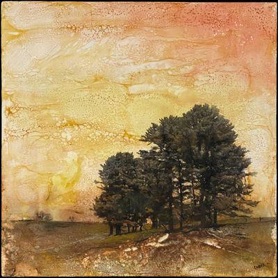 NEW! 10x10 Encaustic mixed media on cradled panel. Available. Morning At Appleton