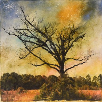 New! 10x10 Encaustic mixed media. Available. She Bared It All